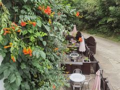 -西院1号(龙井店)