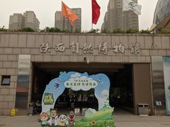 -陕西自然博物馆