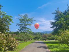 -中国科学院西双版纳热带植物园