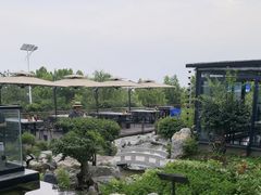 -蘇河湾·新鲁菜·泰山宴(泰山店)