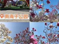 -南海子公园