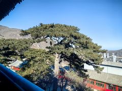 -妙峰山风景名胜区