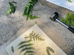 -世间香境·七溪地