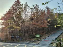 -冶父山国家森林公园