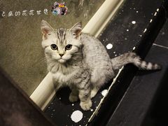 IMG_9160_副本-吱咖啡西式简餐