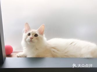 倒计时：距离本市降温还有一天