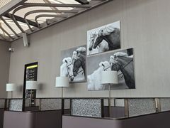 -上海浦东国际机场-T2航站楼