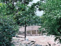 -鹫峰国家森林公园