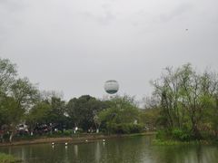 -西溪国家湿地公园