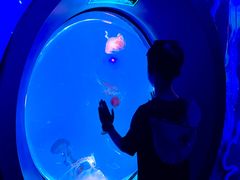 -海合安成都极地海洋公园