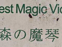 -莫里热带雨林景区