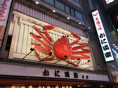 -蟹道乐(道顿堀本店)