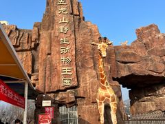 -五龙山野生动物王国