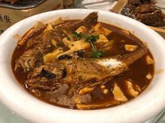 高汤黄鱼烧豆腐-福苗小骆驼烧烤(大唐不夜城店)