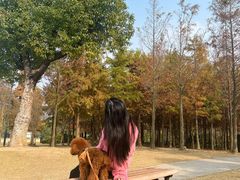 -上海长兴岛郊野公园