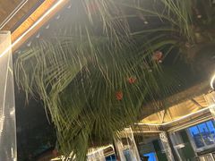 -醉月城西昌火盆烧烤(天府店)