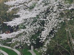 -杭州少年儿童公园