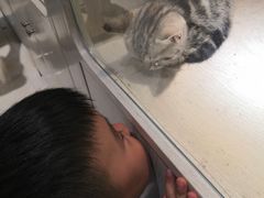 -乐宠宠物店(世纪金源店)