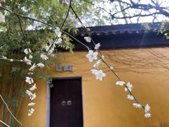-北寺塔