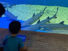 -华夏文旅海洋公园