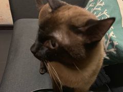-吱咖啡西式简餐