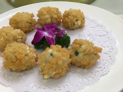 -黄埔华苑酒家(黄埔店)