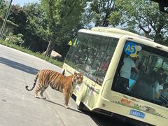 -西安秦岭野生动物园