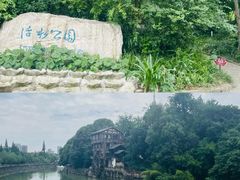 -成都市活水公园