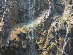 -上海辰山植物园