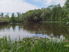 -溱湖国家湿地公园