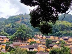 -杨家堂村