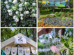 -莫愁湖公园