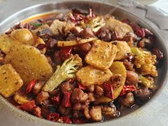 -重庆金爪爪特色干锅(大竹林直营店)