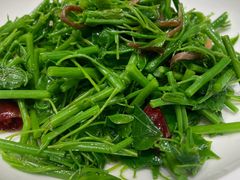 -元唐家宴•经典东北菜(梅市口路店)
