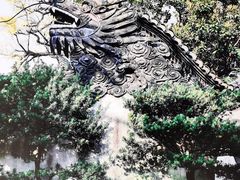 -上海滨江森林公园