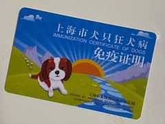 -爱侣宠医·鹦鹉专科·小型哺乳类·异宠专科(灵石路店)