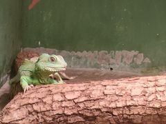 -上海大自然野生昆虫馆