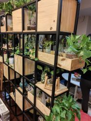 -皇冠瑜伽·普拉提·疼痛康复