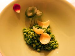 -西郊5号·Maggie 5