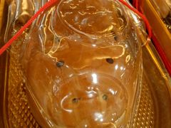 -蜂蝶来饼店(拱北总店)