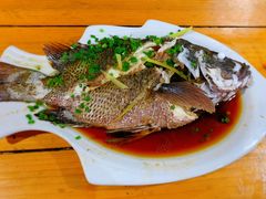 -蓝湾碧波·老字号·疍家非遗海上餐厅