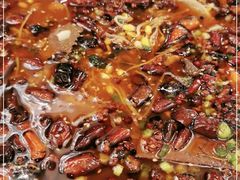 -陈麻婆豆腐总店