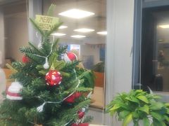 -小米手机笔记本电脑售后维修