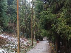 -娄山关景区
