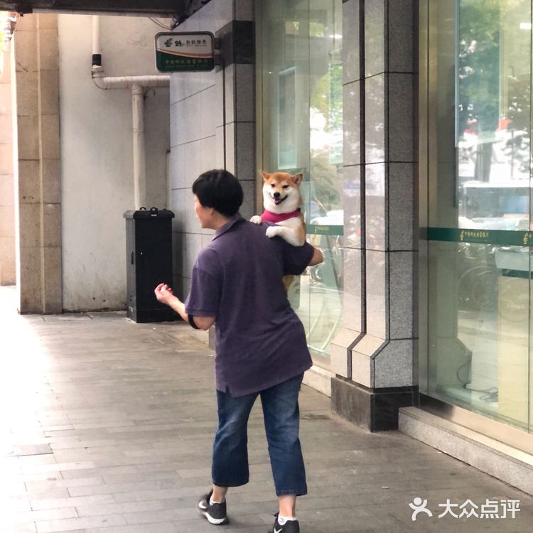 随手拍，生活片段。