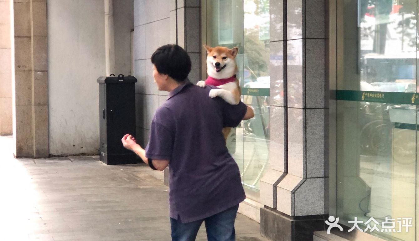 随手拍，生活片段。