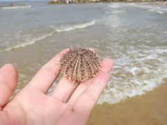 -那香海钻石沙滩浴场