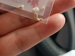 -瑞派·关忠动物医院·异宠专科·犬猫肿瘤·皮肤专科(望京店)