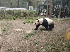 -黔灵山公园