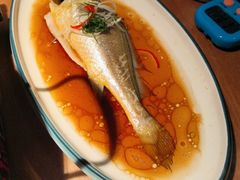 -波螺油子青岛本帮菜(银座店)